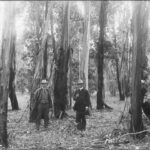 Image: Walter Gill in a forest