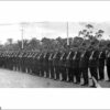 Image: Mounted Police drill at Torrens Parade Ground