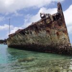 Image: Protector at Heron Island, 2013