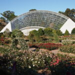 Image: Bicentennial Conservatory