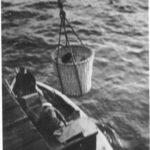 Image: A Caucasian woman is hoisted from a small boat to a jetty in a large wicker basket. The top of the woman’s head and part of a wrapped bundle are just visible in the basket