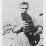 Image: A young clean-shaven Caucasian man in 1940s-era coveralls holds a young live fur seal in his arms. Part of an unidentified automobile is visible immediately behind the man