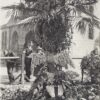 Image: Floral tributes rest against a large palm tree