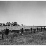 Image: A man stands in front of a row of greenhouses in an open field. A windmill is visible in the distant background