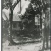 Image: A stone building with a steeply pitched roof, overgrown with vines and mostly obscured by bushes and trees