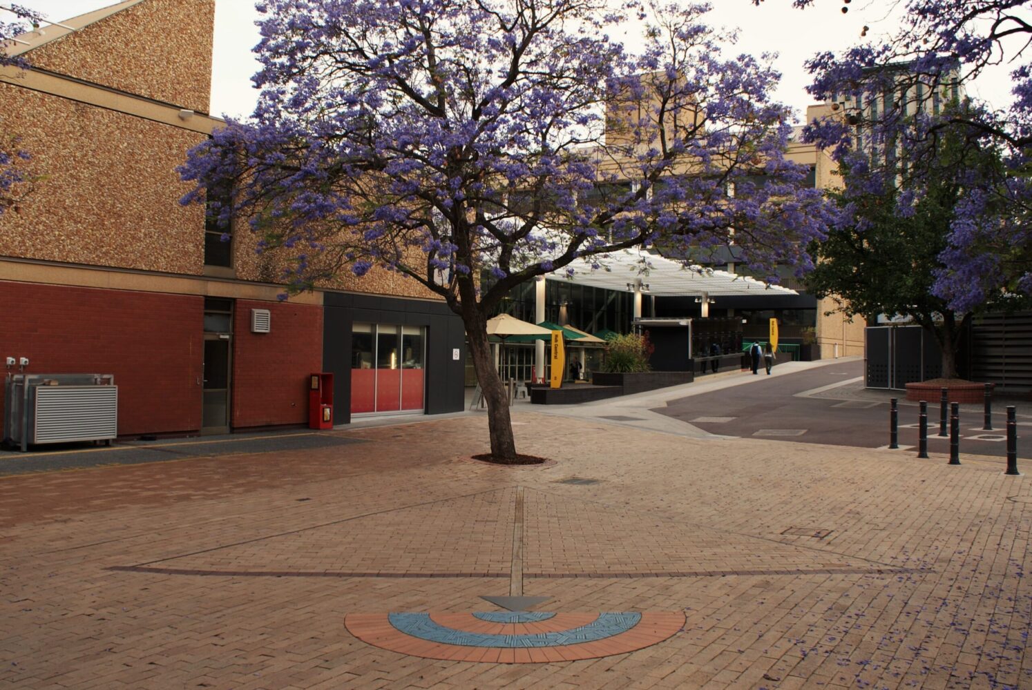 Target Practice History Hub