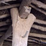 Image: Straw roofed-shed with tree log and branch structure