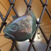 Image: Close up photograph of Fish for the Slate Pool Walkway