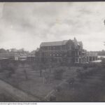 Image: Shows the State Herbarium from a distance, with a vacant block full of trees to the left of the Goodman building