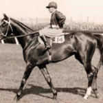 Image: Jockey and his horse at a race track